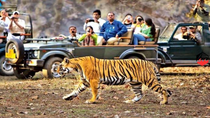 compare corbett and ranthambore for a 5 day wildlife photography trip in november on a 50k budget